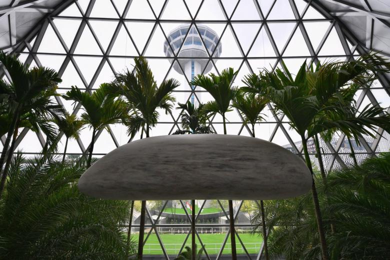 'Foreign' plants for Jewel's gardens took almost 3 years to procure