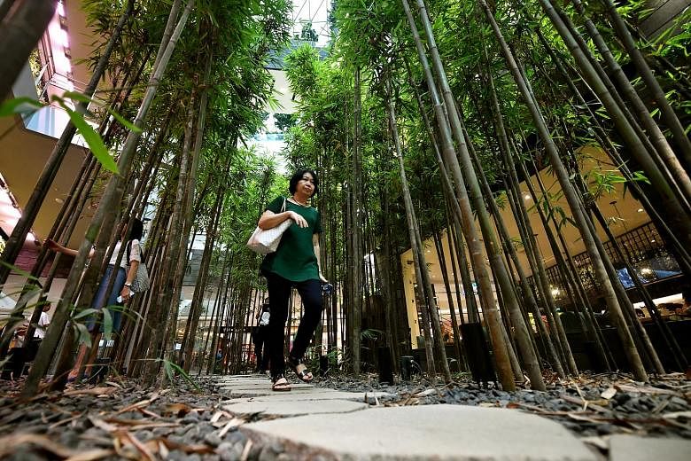 The Bamboo Forest at Jewel Changi Airport. Those entering the complex from the main drop-off point and the linkages from Terminals 1, 2 and 3 will be greeted with themed gateway gardens.