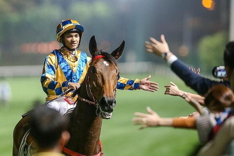 Jockey Grant van Niekerk has partnered emerging star Big Party to win his last two starts and the combination can do the hat-trick in Race 9 at Sha Tin tomorrow.