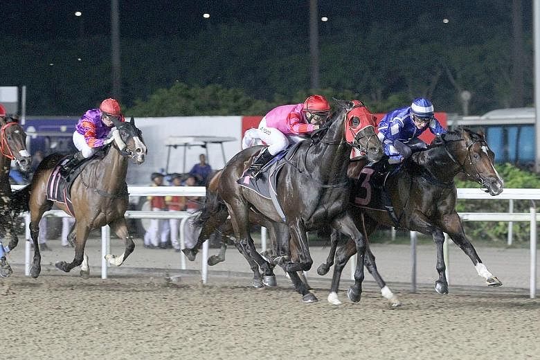 The Shane Baertschiger-trained favourite Mikki Joy (right) holding off stablemate Blue Swede in The New Paper Cup race over the Polytrack 1,600m in Race 7 at Kranji last night.