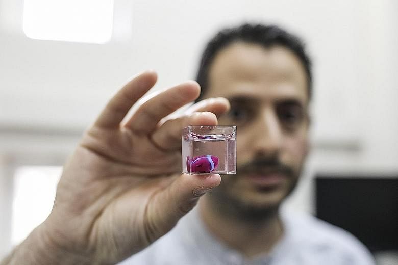 A 3D-printed prototype of a human heart being displayed at Tel Aviv University. The next step is for researchers to culture the printed hearts in a lab and "teach" them to behave like hearts.