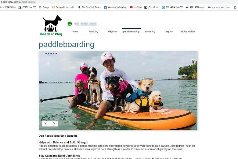 A screen grab of pet boarding and daycare company Board N' Play's website. Ms Naida Ginnane said that Garfield, a one-year-old Maltese, had slipped off a paddle board, but the company denied this. PHOTO: BOARDNPLAY. COM/PADDLEBOARDING