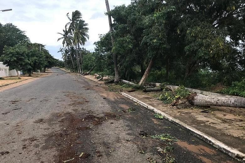Damaged trees in Pemba city in Cabo Delgado province in the southern African nation of Mozambique yesterday after Cyclone Kenneth struck. The authorities have said there are concerns that five rivers as well as coastal waterways could overflow. Aroun