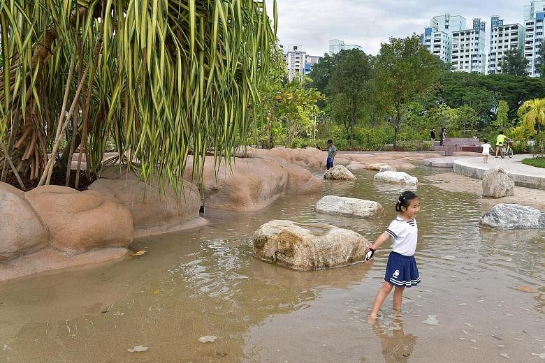 Clusia Cove, a children's play area where visitors can learn about water dynamics through play.