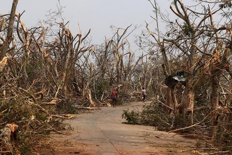Trees in the Puri district of India's eastern state of Odisha with their branches snapped and leaves torn off in the aftermath of Cyclone Fani last Saturday. The fierce storm left a trail of damage in eastern India and Bangladesh. At least 33 people 