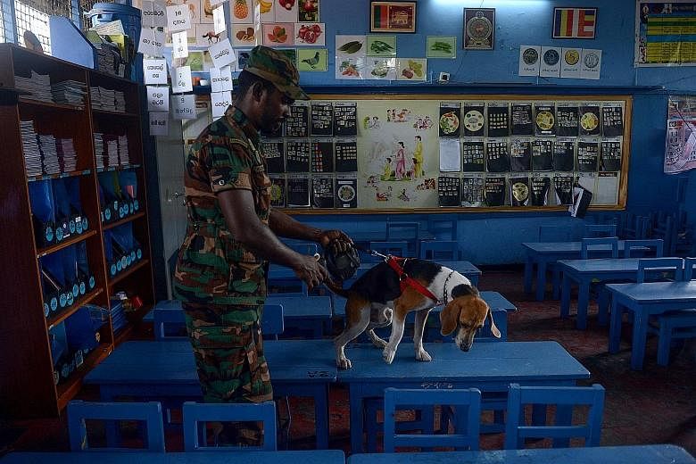 A Sri Lankan bomb disposal squad officer using a sniffer dog to check for explosives at a school in Colombo on Sunday, ahead of the reopening of all public schools after an extended Easter holiday. Schools reopened to near-empty classrooms yesterday,