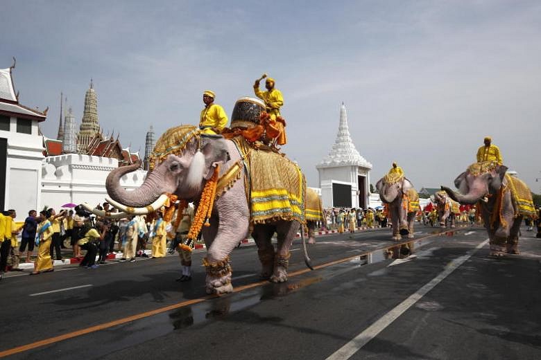 White elephants, mahouts pay respects to late Thai king