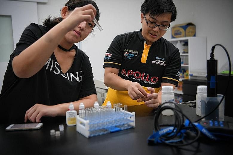 Reporter Cheryl Teh helps Apollo Aquaculture employee Tham Ye Da (top) in the lab and aquaculturist Mohamed Alamin feed hybrid groupers. ST PHOTOS: MARK CHEONG