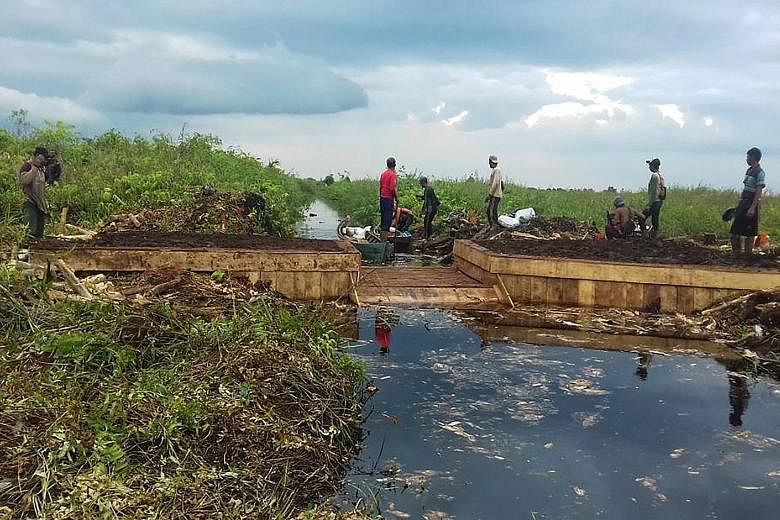 Villagers constructing a dam using local materials, such as wood and compacted soil, across a peatland drainage canal in Desa Seponjen in Sumatra's Jambi province. So far, the agency has worked with 262 villages across seven provinces, restoring 679,