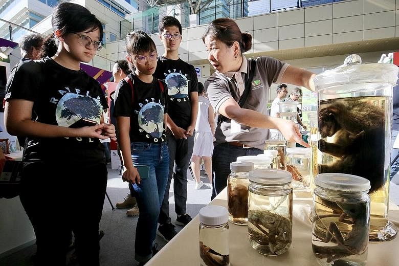 Above: This six-eyed spider, a new species, is named after the reserve - Paculla bukittimahensis. Left: The Festival of Biodiversity was opened in Toa Payoh Hub yesterday. PHOTOS: JAMES W. B. KOH, LIANHE ZAOBAO