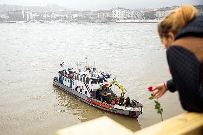 A woman throwing a flower from a bridge during a search of the Danube River in Budapest, Hungary, yesterday, following a collision of a hotel ship and a smaller cruise ship the previous evening. PHOTO: MTI