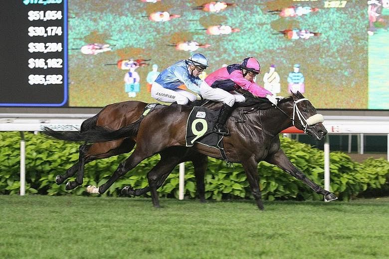 South African jockey Juan Paul van der Merve steering Golden Dash (No. 9) past the luckless Gamely in the $75,000 Restricted Maiden event over 1,200m at Kranji last night.