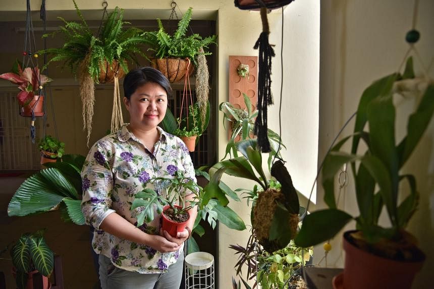 Design director and art instructor Angela Chia are mindful that their plants do not encroach on their neighbours’ space. 