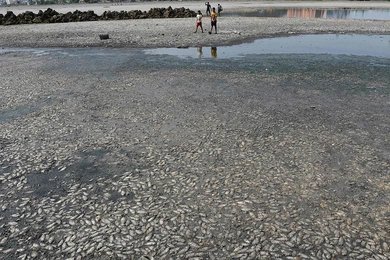 A few boys walking on the dry bed of a lake covered with dead fish on the outskirts of Chennai in India yesterday. The eastern city's main reservoirs have recorded their lowest levels in seven decades, with the current quantities adding up to only 1.