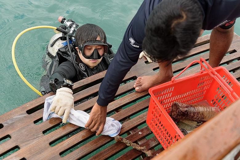 A volunteer diver with the marine debris collected underwater. Yesterday, 20 volunteer divers completed a clean-up exercise in the southern waters around Lazarus Island. PHOTO: MARITIME AND PORT AUTHORITY