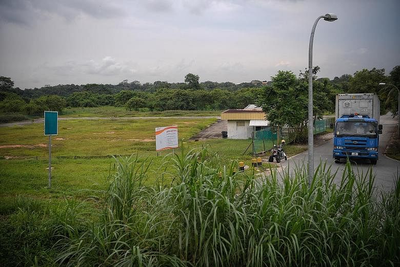 The land (left) set aside for bean-sprout farming at Sungei Tengah Road. The bean sprout is nutritious and used in many local dishes. ST PHOTO: MARK CHEONG