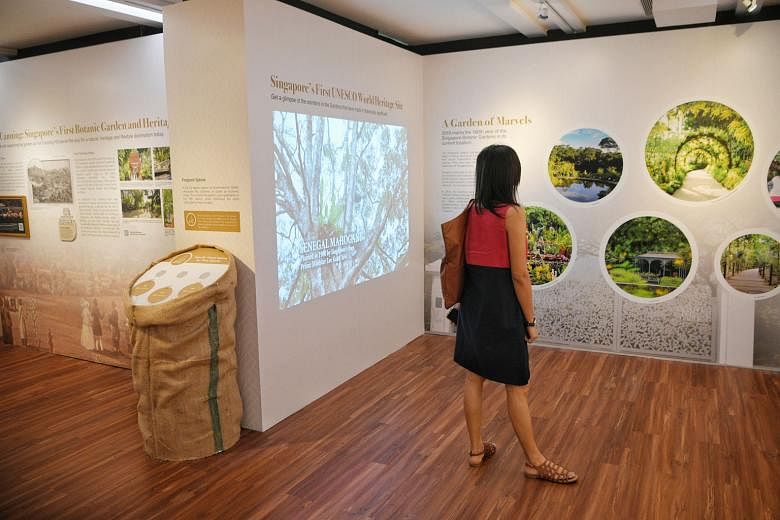 The free exhibition - Singapore's Greening Journey: 200 Years And Beyond - at the Singapore Botanic Gardens' CDL Green Gallery charts the evolution of Singapore's green story from 1819 till the present day.