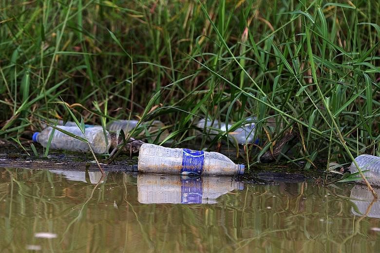 Rubbish along the banks of Johor River. Recent incidents have sparked concerns about water pollution in the river, which flows 80km from Sayong Pinang in Kota Tinggi in the north to the river mouth in Teluk Sengat, in Johor Baru, in the south. SAJ Ra