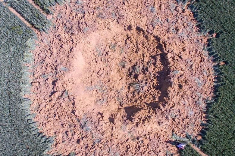 A World War II-era bomb exploded in a field near the district of Ahlbach in the western German town of Limburg, leaving a crater in the ground, a police spokesman said yesterday. Witnesses heard a loud bang late on Saturday night, only to discover th
