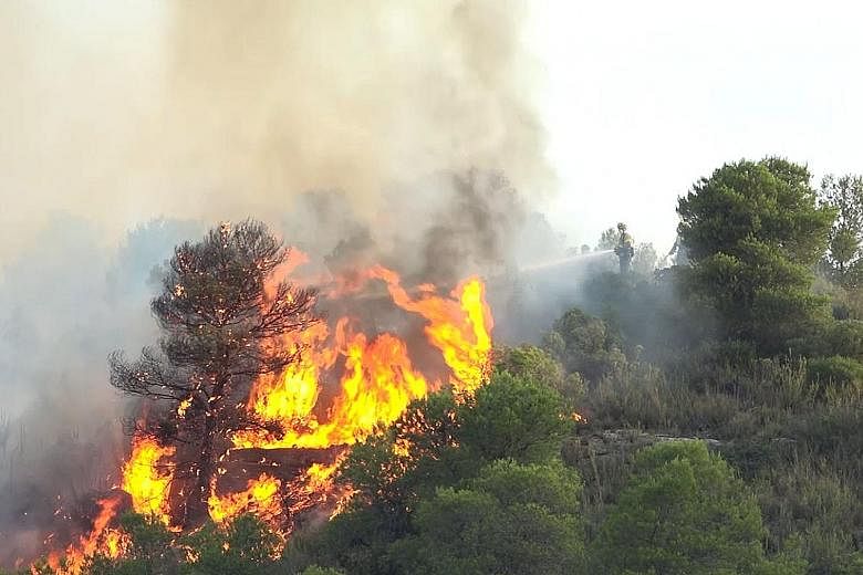 A wildfire near Torre de l'Espanyol in Ribera d'Ebro, on the banks of the river Ebre in north-eastern Spain, yesterday. Spanish firefighters are struggling to douse wildfires across nearly 4,000ha in the north-eastern region of Catalonia. Temperature