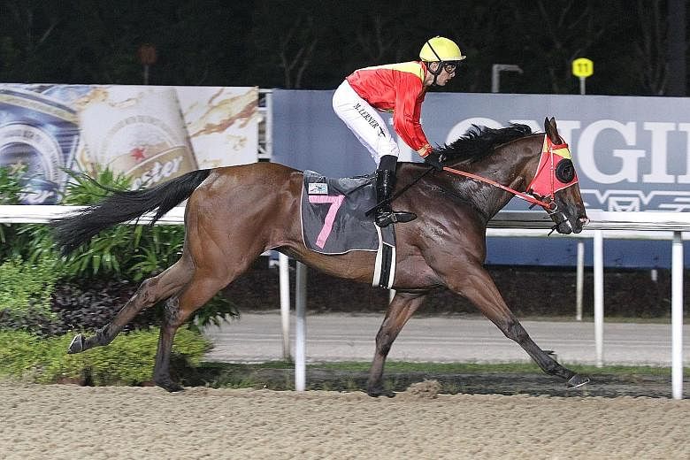 Sacred Magic giving French jockey Marc Lerner an armchair ride in Race 3 at Kranji last night, winning by four lengths. The win ended a four-month drought for trainer Leslie Khoo. 