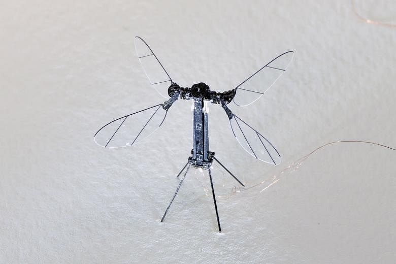 With four wings, the diminutive RoboBee X-Wing can achieve the thrust efficiency of similarly sized insects such as bees. Tiny wings and tinier solar cells allow autonomous movement in a new robotic "bee." PHOTO: NYTIMES