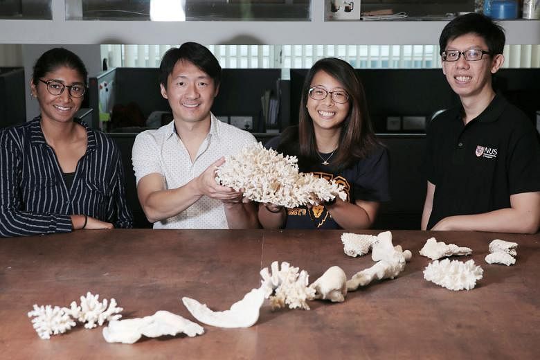A team of marine biologists from the National University of Singapore, (from left) Ms Sudhanshi Jain, Assistant Professor Huang Danwei, Ms Gwendolyn Chow and Mr Samuel Chan, studied about 3,000 colonies of 124 coral species in the waters around Pulau