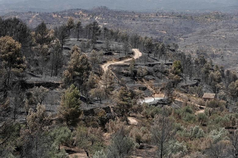 An area hit by raging forest fires near Flix in Spain's north-eastern region of Catalonia. Forty of Spain's 50 regions have been placed on weather alert, with seven of them considered to be at extreme risk, the national meteorological agency said. A 