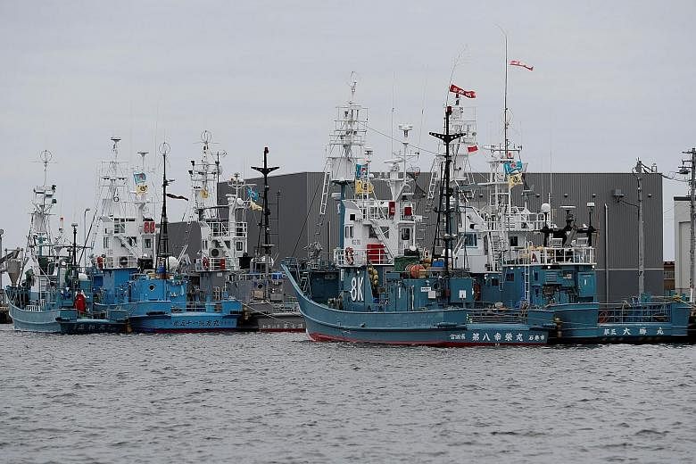 Ships preparing to set sail today from Kushiro port in Hokkaido as Japan resumes commercial whaling for the first time in more than 30 years. The country withdrew from the International Whaling Commission last year.