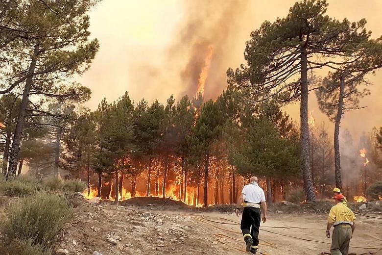 A wildfire in Alto de la Centenera, Spain, last week. More and more heat records are being broken all over the world as rising greenhouse gas emissions warm the planet, and 2019 is on track to be among the hottest years on record globally. PHOTO: REU