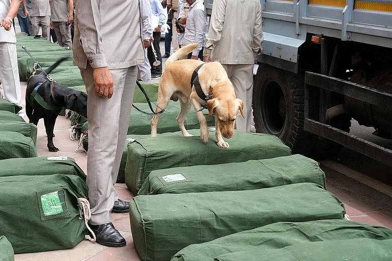 Security staff using a sniffer dog to inspect sacks of budget papers at Parliament House in New Delhi yesterday.