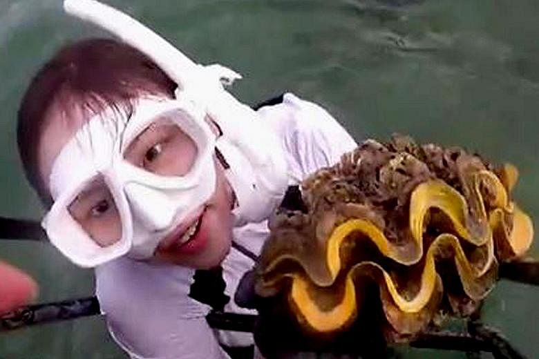Actress Lee Yeol-eum faces up to five years in a Thai jail for catching endangered giant clams in a marine park in Thailand. The incident came to light after the reality TV stunt was broadcast last month.