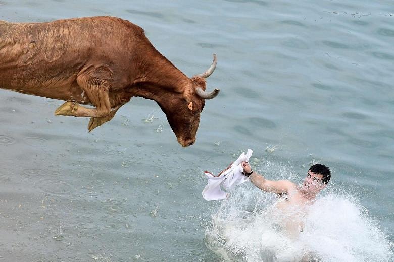 Today in Pictures, July 9, 2019 | The Straits Times