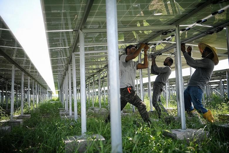 Workers adjusting solar panels at the Renewable Energy Integration Demonstrator-Singapore developed by Nanyang Technological University, in May.