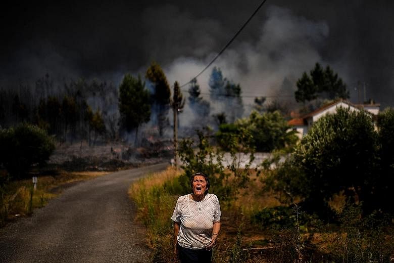 A villager shouting for help as a wildfire approached a house at Casas da Ribeira village in Macao, central Portugal, on Sunday. Fires that swept the mountainous region for nearly 48 hours were under partial control yesterday, but adverse weather con