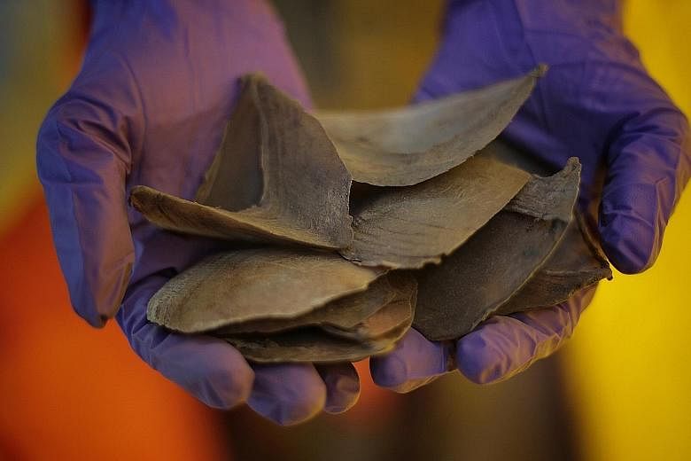 Pangolin scales are in demand in Asia because people believe - erroneously - that their scales have medicinal powers.