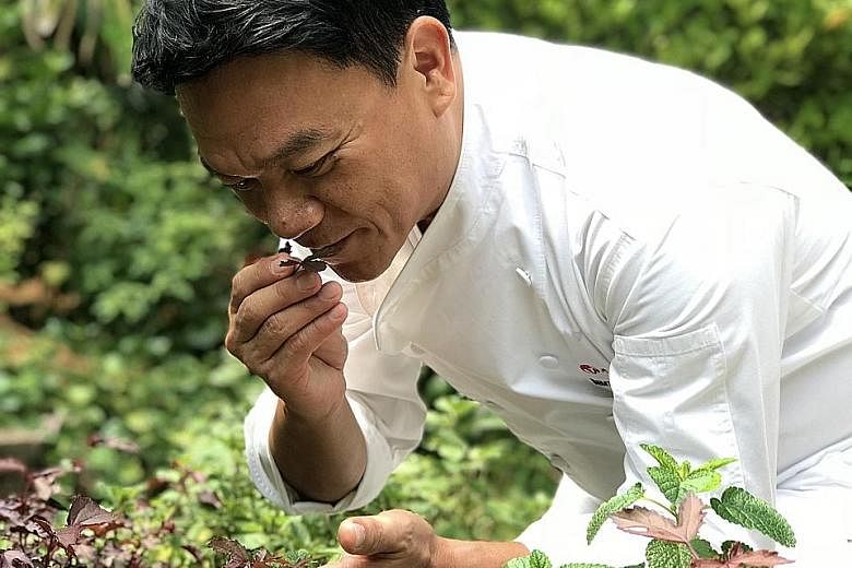 Thai celebrity chef Ian Kittichai helms Tangerine, a farm-to-table restaurant that presents classic dishes in a modern style.