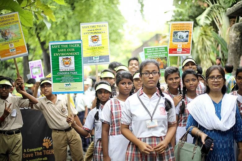 Indian students holding posters of the Bengal tiger during a march on World Tiger Day at the Alipore Zoo in Kolkata on Monday. PHOTO: EPA-EFE