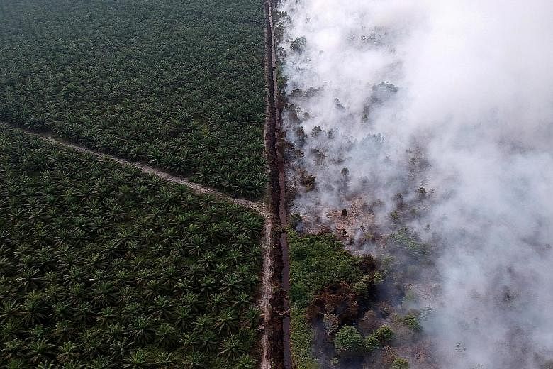 An aerial view of a forest fire next to an oil palm plantation in Muarojambi, Indonesia, on Tuesday. The Indonesian government has sent nearly 5,700 firefighting teams to douse the fires in various provinces.