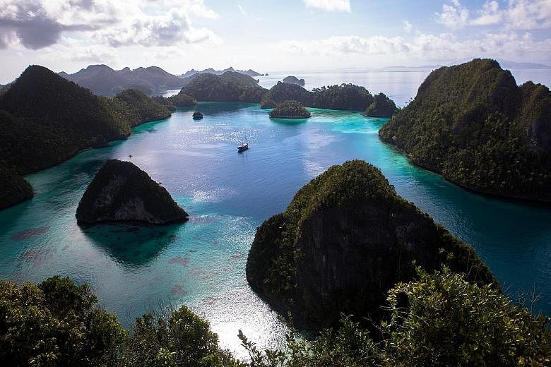 Hike up Mount Pindito in Wayag for a panoramic view of the conical karst islands that have become the poster children of Raja Ampat. 