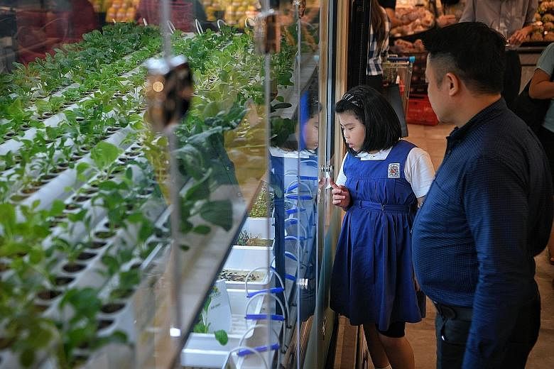 The new store features a small indoor hydroponic farm - where vegetables are grown and harvested - by local urban farming firm ComCrop.