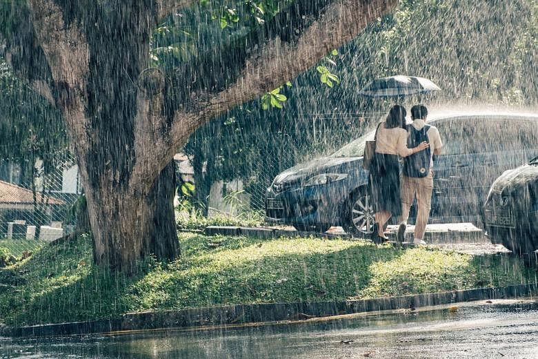 Wet Season tells the story of a Chinese-language teacher struggling with a failing marriage, who forms a life-changing friendship with a student.