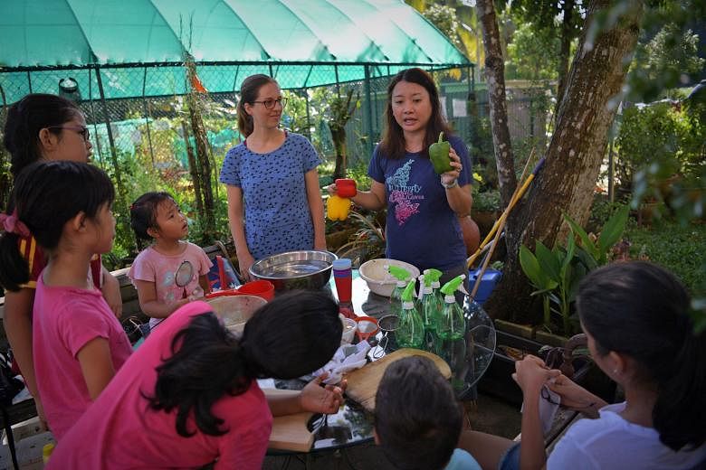 The garden sits between Maju forest and Block 118 Clementi Street 13. (From far left) Chen Xinping, five; Anna Manipur, 10; Meera Sathappan, 11; Estella Bang, 10; and Shen Xi Ran, 11, at the Sunset Way Kids' Garden. They are part of a group of 16 chi
