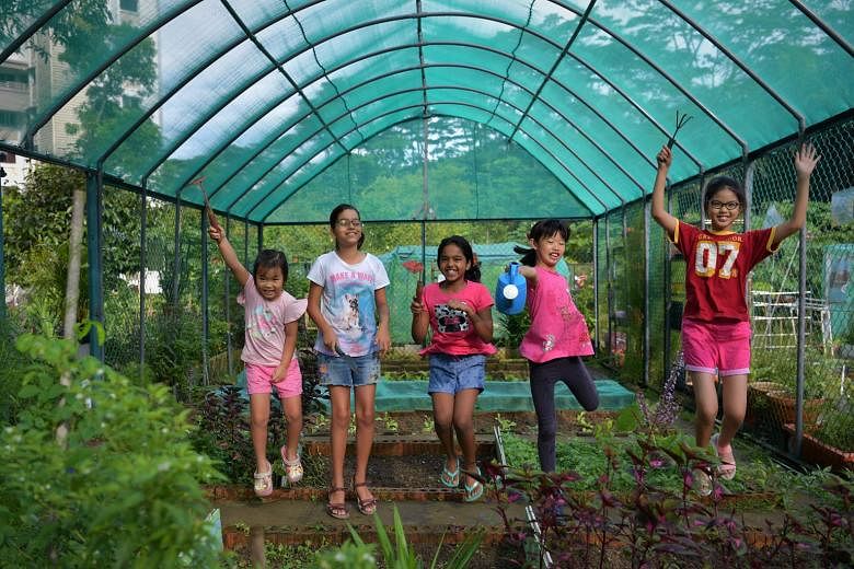 The garden sits between Maju forest and Block 118 Clementi Street 13. (From far left) Chen Xinping, five; Anna Manipur, 10; Meera Sathappan, 11; Estella Bang, 10; and Shen Xi Ran, 11, at the Sunset Way Kids' Garden. They are part of a group of 16 chi