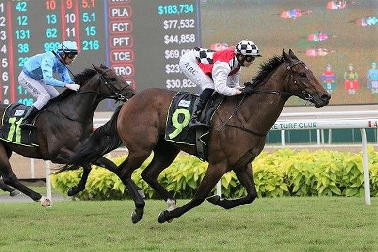 Bluestone (No. 9) making it two wins from two starts with jockey Alysha Collett astride in Race 6 at Kranji yesterday. 