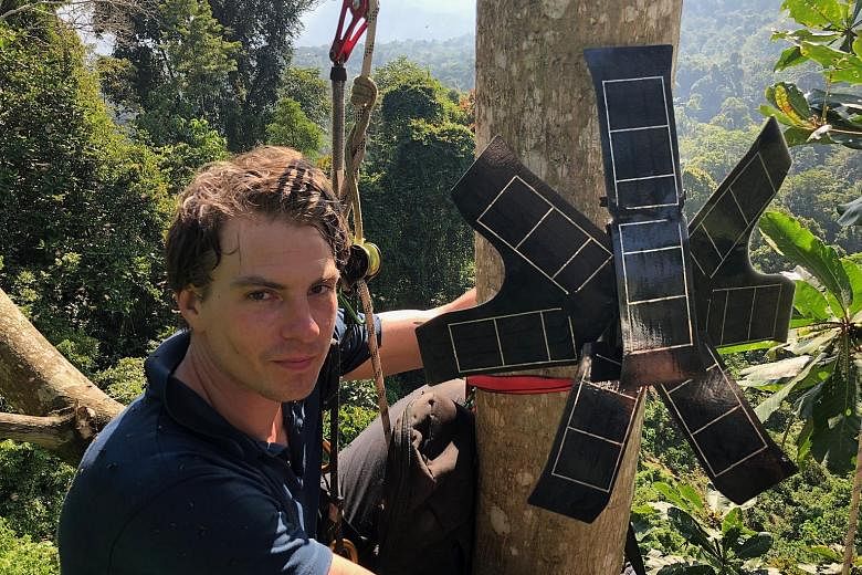 Rainforest Connection CEO Topher White training a villager on how the system works. The San Francisco-based non-profit organisation has been installing repurposed old phones, equipped with solar panels and a powerful microphone, high up in the trees 