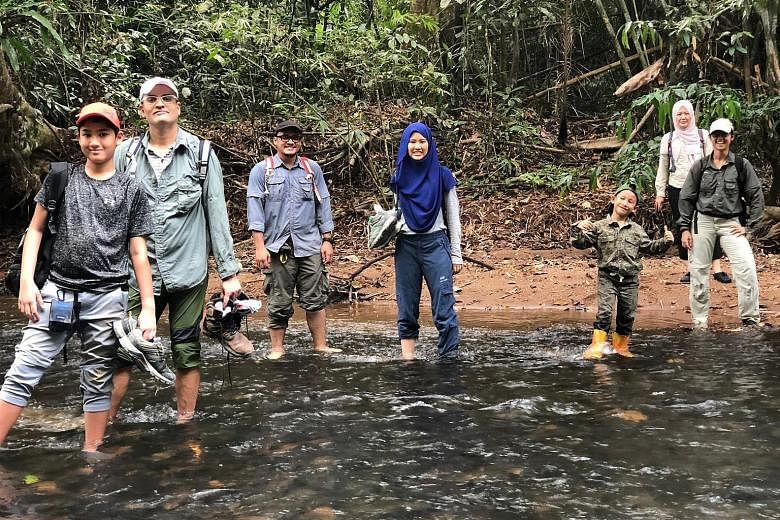 In the Saving Tigers Together Family Outreach programme, children and teens up to 17 years old travel to forested areas in Pahang, Malaysia, to spot signs of poaching. 