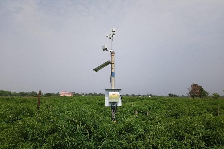 A sensor from Indian start-up Fasal. Its app monitors conditions to ensure the health of crops.