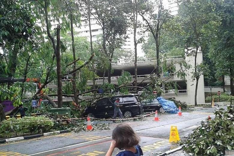 Some cars parked in the open carpark at Pandan Valley condominium on Dec 28, 2015, were damaged overnight by a fallen tree.