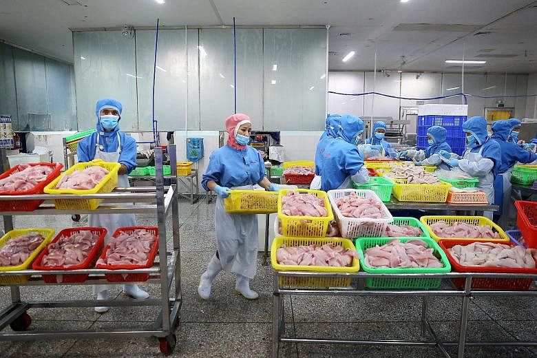 Workers processing tilapia fish fillets at a workshop in Wenchang, Hainan province. China is the main supplier of frozen tilapia to the American market, but as a result of the tariffs war between the United States and China, those exports are down th